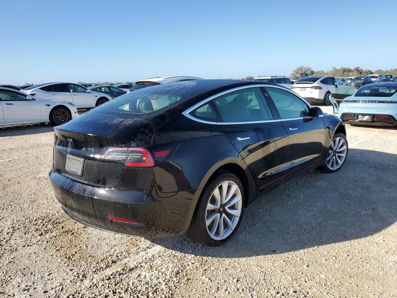 Lot #3023856838 2019 TESLA MODEL 3