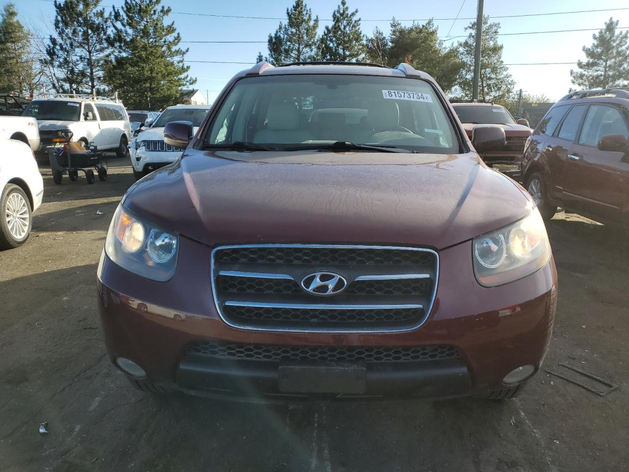 Lot #2991901174 2007 HYUNDAI SANTA FE S