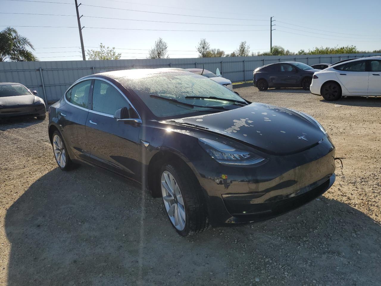 Lot #3023856838 2019 TESLA MODEL 3