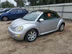 VOLKSWAGEN NEW BEETLE photo