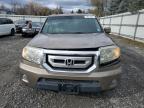 HONDA PILOT EXL photo