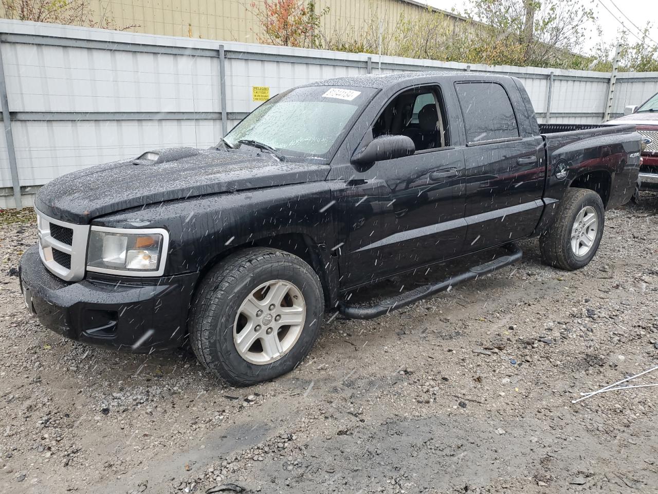 Lot #3026027964 2011 DODGE DAKOTA SLT