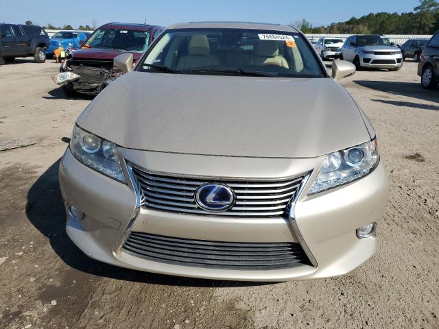 VIN JTHBW1GG8D2023292 2013 LEXUS ES300 no.5