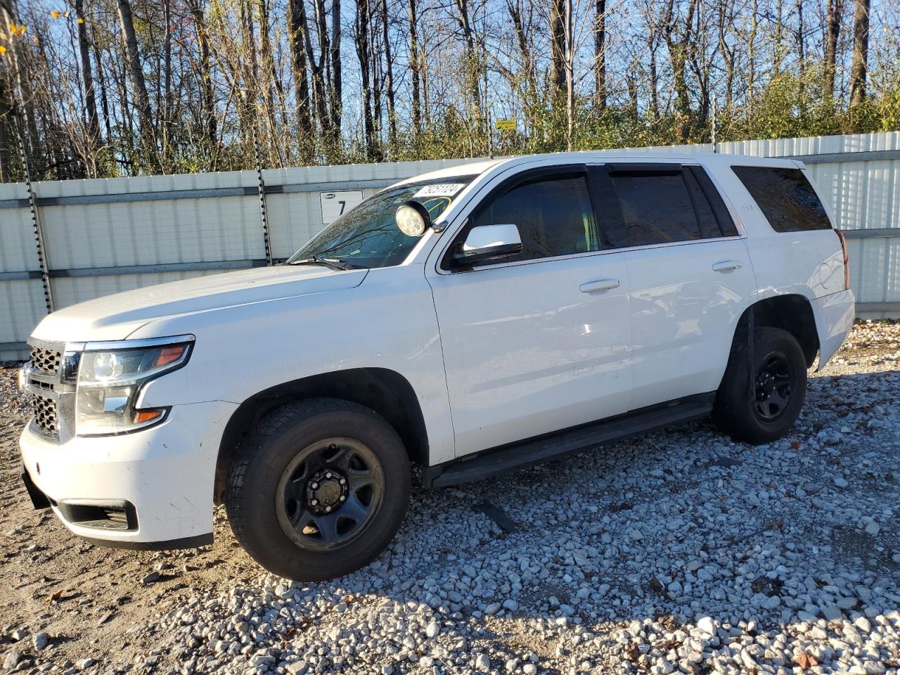 Lot #3003173678 2019 CHEVROLET TAHOE POLI