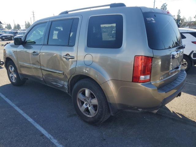 HONDA PILOT EXL 2009 gold 4dr spor gas 5FNYF385X9B027885 photo #3