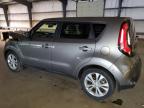 KIA SOUL + photo