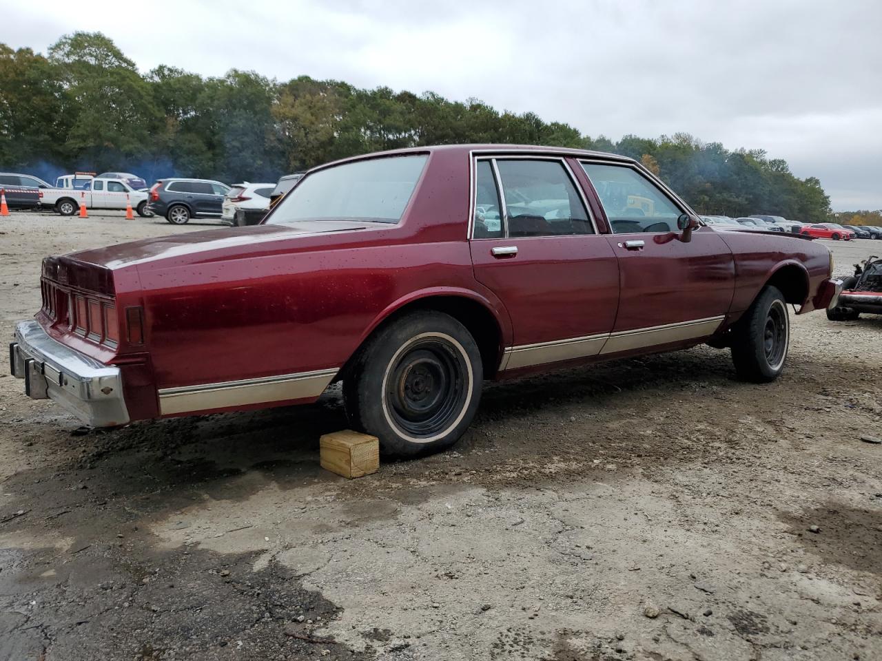 Lot #3029336682 1981 CHEVROLET CAPRICE CL