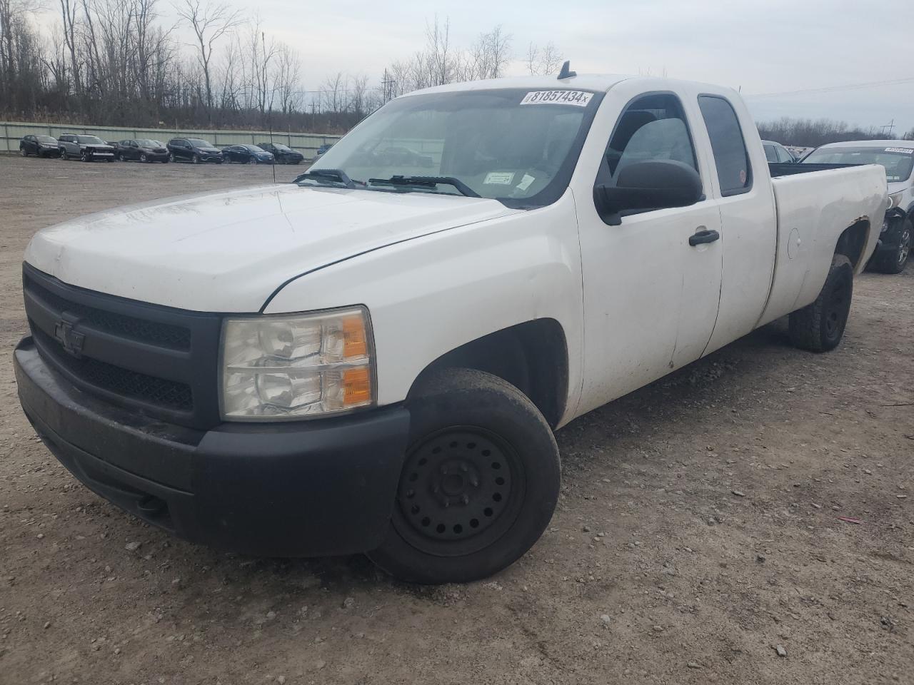 Lot #3005591293 2008 CHEVROLET SILVERADO