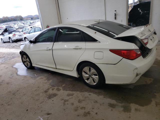 VIN 5NPEB4AC6EH815118 2014 HYUNDAI SONATA no.2