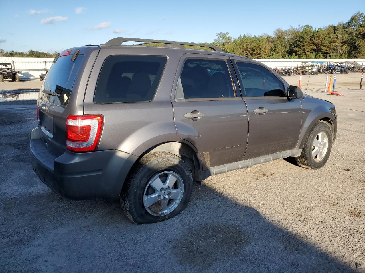 Lot #2994019325 2010 FORD ESCAPE XLS