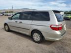 HONDA ODYSSEY LX photo