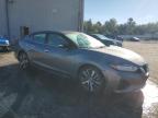 Lot #3024823379 2020 NISSAN MAXIMA SV