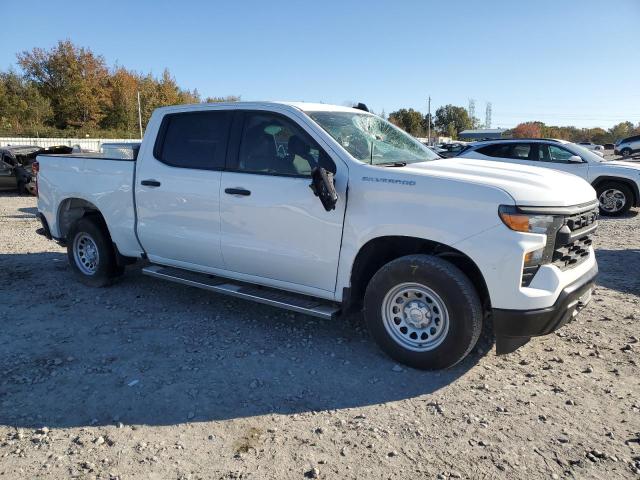 Vin: 2gcpaaed3r1160372, lot: 81570354, chevrolet all models c1500 20244