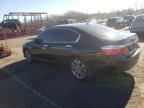 Lot #3025044208 2014 HONDA ACCORD EXL