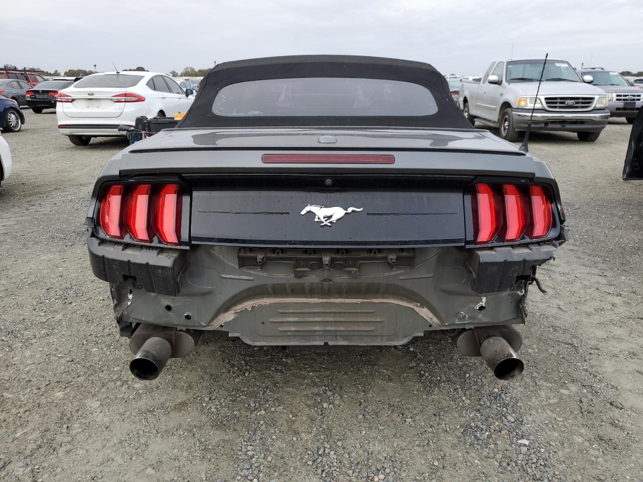 Lot #3037873266 2019 FORD MUSTANG