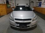 Lot #3021086172 2011 CHEVROLET MALIBU 1LT