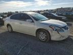 Lot #3023089074 2010 NISSAN ALTIMA BAS