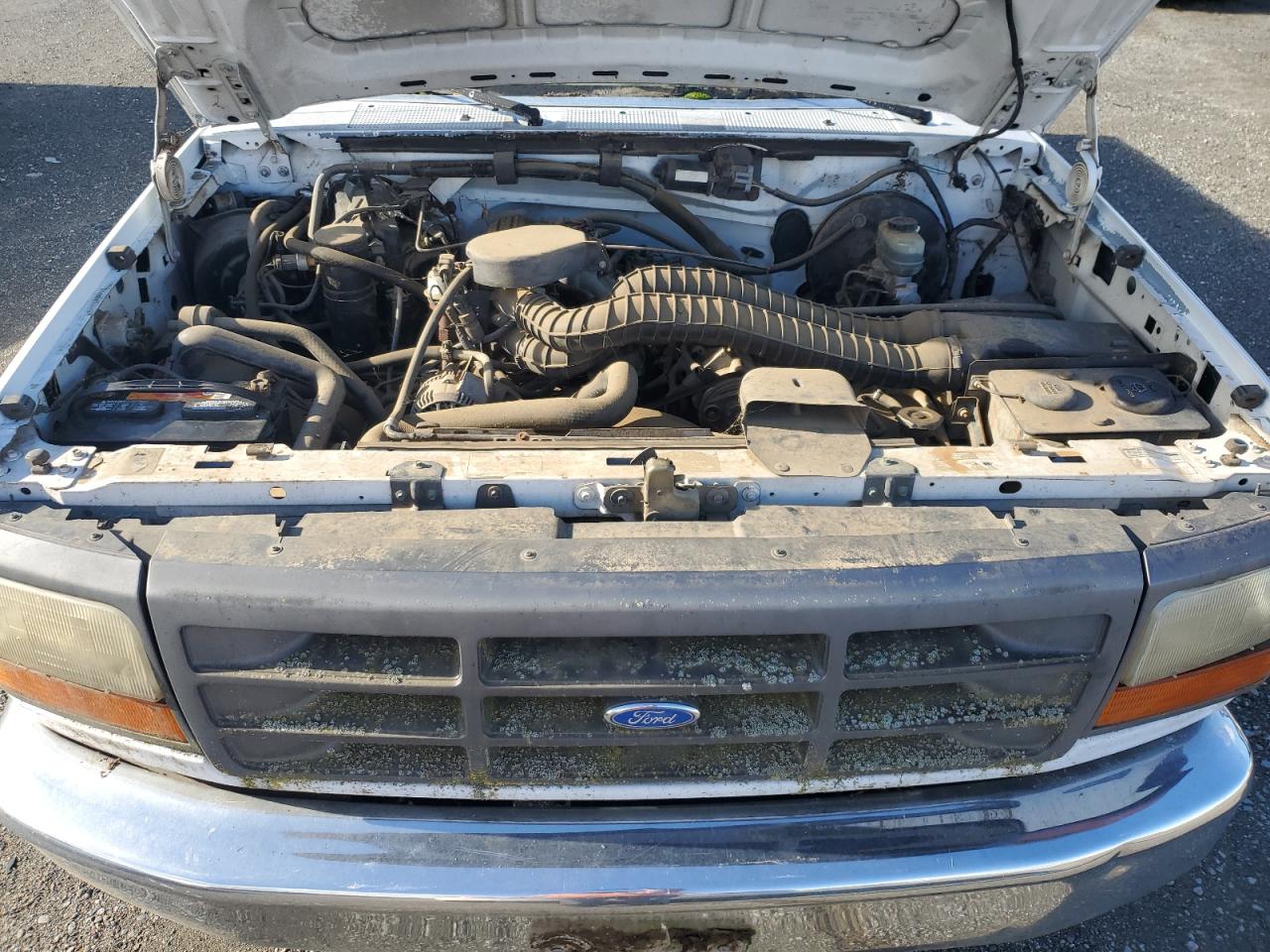 Lot #3029723697 1995 FORD F150