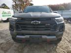 Lot #3028387839 2023 CHEVROLET COLORADO Z