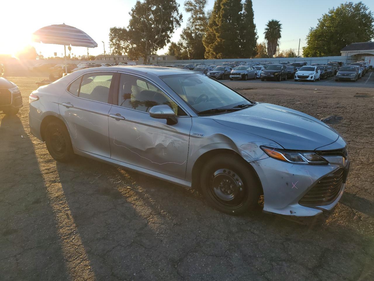 Lot #3028290859 2020 TOYOTA CAMRY LE