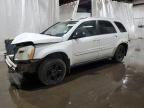 Lot #3024365537 2005 CHEVROLET EQUINOX LT