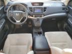 HONDA CR-V EX photo