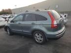 Lot #3024054218 2010 HONDA CR-V EXL