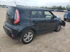 KIA SOUL + photo