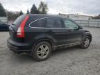 HONDA CR-V EXL photo