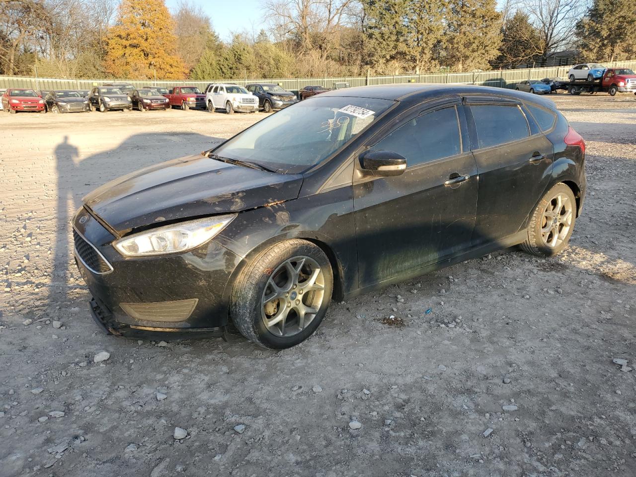 Lot #3027088802 2016 FORD FOCUS SE