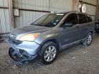 Lot #3024516470 2008 HONDA CR-V EX