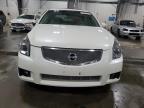 Lot #3006676399 2007 NISSAN MAXIMA SE