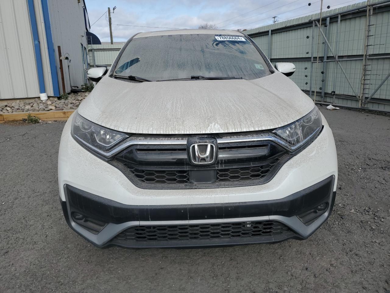 Lot #2957065452 2020 HONDA CR-V EXL