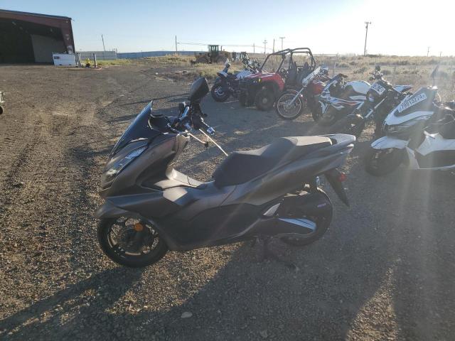 2023 HONDA WW150 A RLHKF4711PY100259
