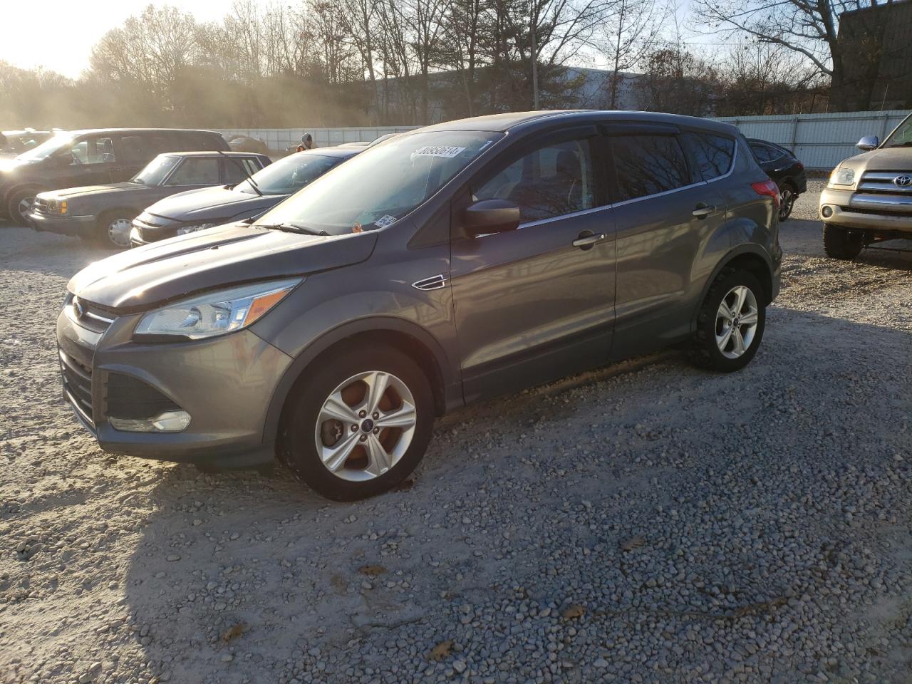 Lot #2988375788 2014 FORD ESCAPE SE