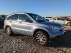 Lot #3006149809 2007 HONDA CR-V EXL