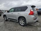 LEXUS GX 460 снимка