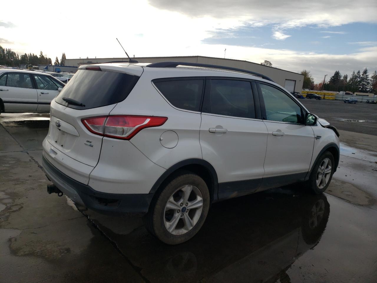 Lot #2991906172 2014 FORD ESCAPE SE