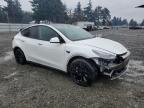 Lot #2993528206 2021 TESLA MODEL Y