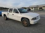 Lot #2957794133 2002 DODGE DAKOTA QUA