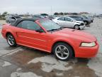 Lot #3023691892 2000 FORD MUSTANG