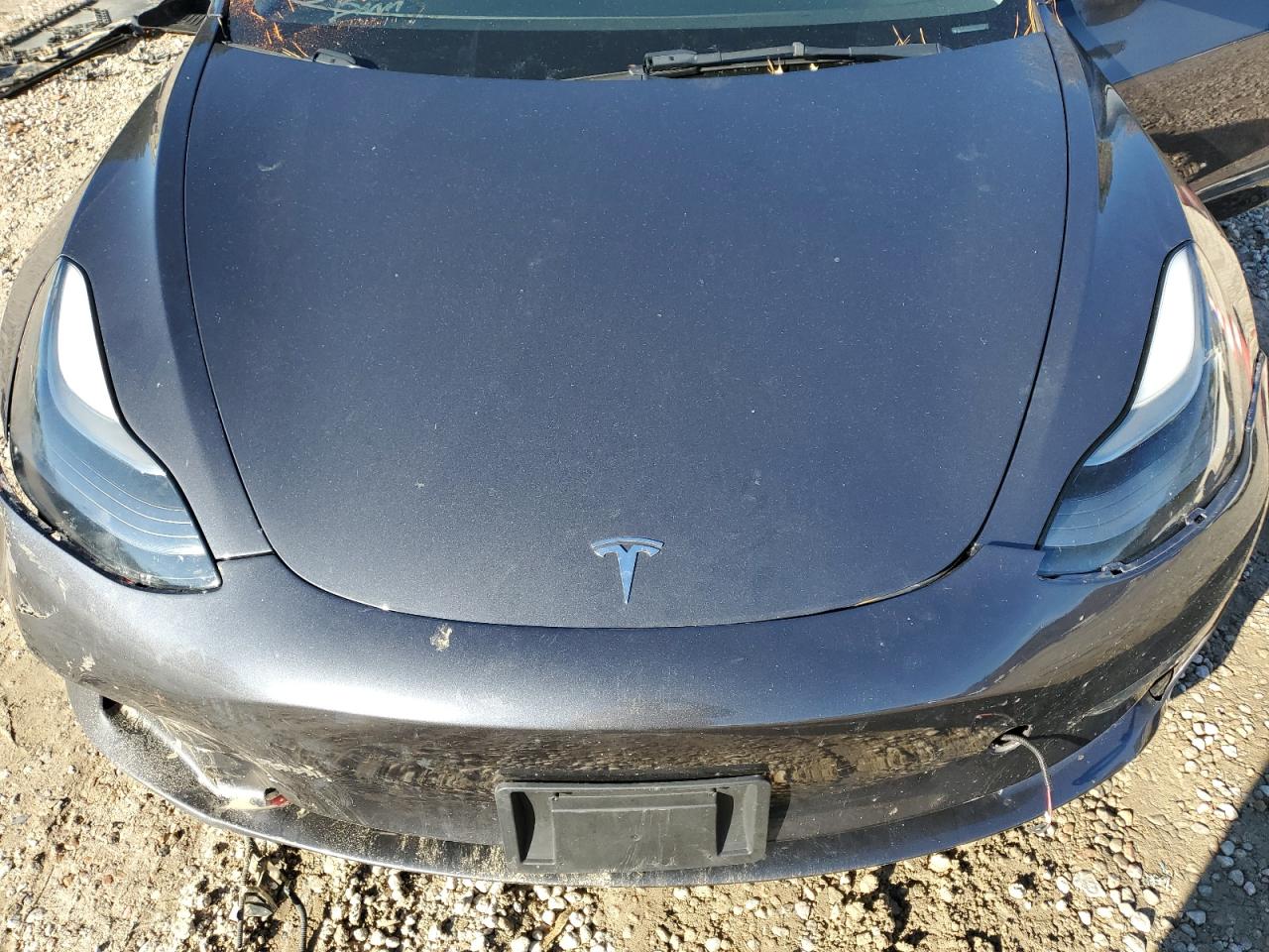 Lot #3034433751 2023 TESLA MODEL 3