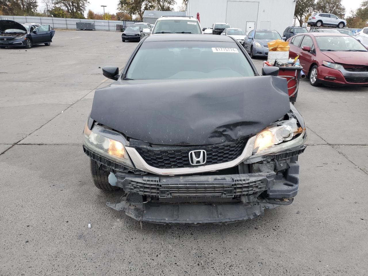 Lot #2989338729 2013 HONDA ACCORD LX-