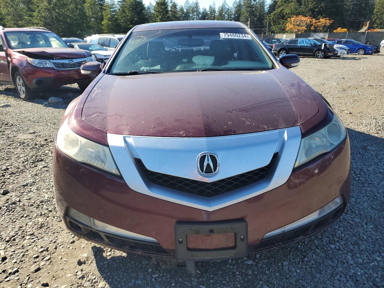 Lot #3036983738 2010 ACURA TL