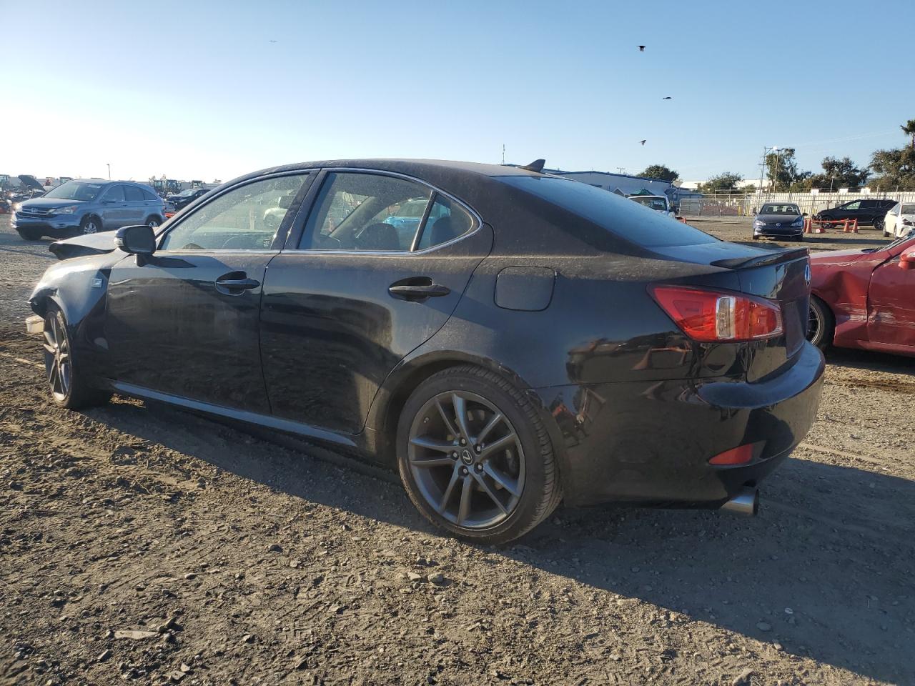 Lot #3024190871 2011 LEXUS IS 250