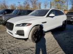 JAGUAR F-PACE S photo