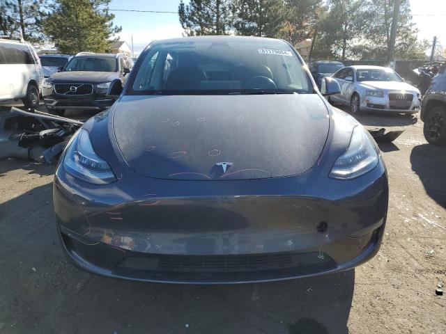 2021 TESLA MODEL Y - 5YJYGDEE8MF092413