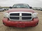 Lot #3024516482 2007 DODGE DAKOTA QUA