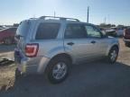 Lot #3037472744 2010 FORD ESCAPE XLT