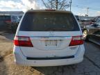 Lot #3025131193 2005 HONDA ODYSSEY TO